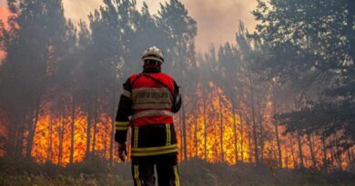 Feux de forêts en Algérie : des incendies embrasent plusieurs wilayas ce 30 juin