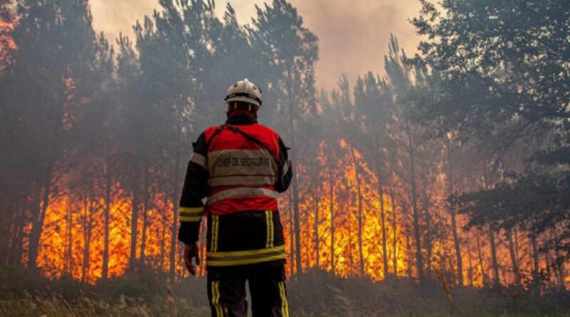 Feux de forêts en Algérie : des incendies embrasent plusieurs wilayas ce 30 juin