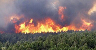 Incendies de forêts : risque “moyen” à “extrême”, du 29 au 31 juillet, dans plusieurs provinces