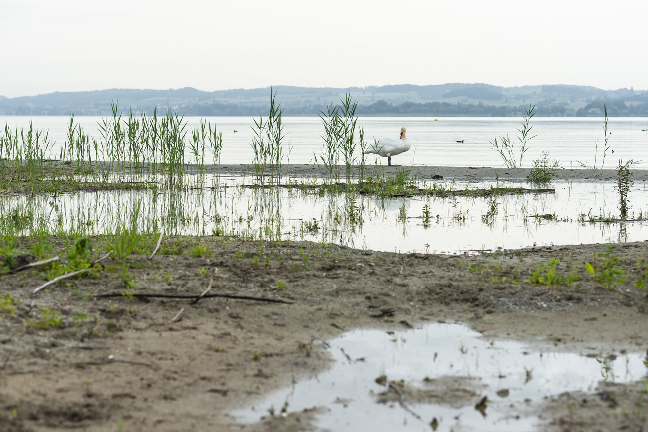 biodiversité