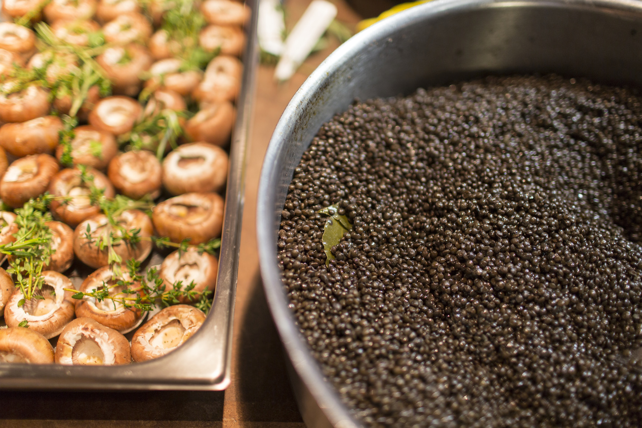 Un plat de lentilles et de champignons