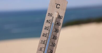 La météo en Algérie ce mardi 23 juillet : la canicule va-t-elle persister aujourd'hui ?