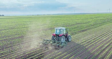 L’agriculture marocaine fait sa révolution