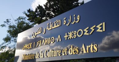 Le ministère reporte les grands festivals artistiques en Algérie pour soutenir la Palestine