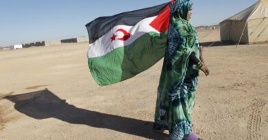 Sahara Occidental : L'Algérie critique sévèrement la position de la France