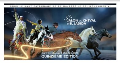 Sous le thème «L’élevage équin au Maroc : innovation et défi» : Le Salon du Cheval d’El Jadida du 1er au 6 octobre prochain