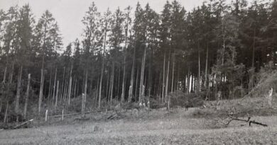 Une nuit de 1943, un bombardier anglais larguait ses bombes sur un paisible village suisse