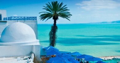 Vacances en Tunisie : les touristes algériens moins nombreux en 2024