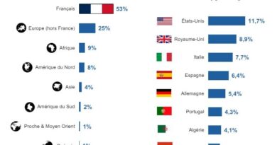 Vols depuis la France : les Algériens parmi les plus grands voyageurs en 2023 (DGAC)