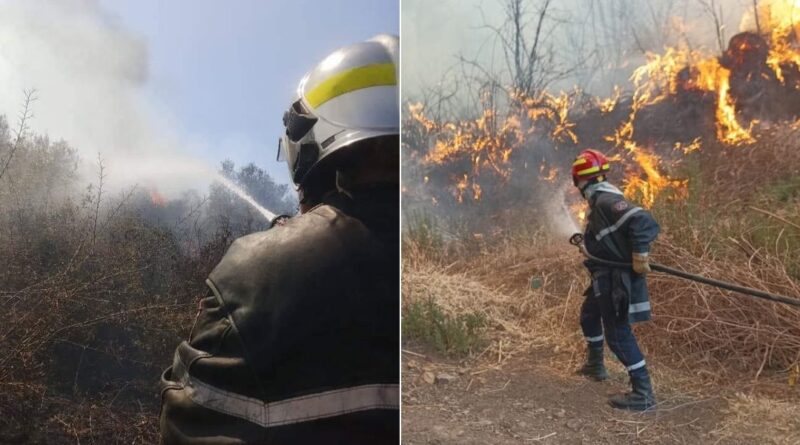 Feux de forêt en Algérie : plusieurs feux déclarés à travers le pays