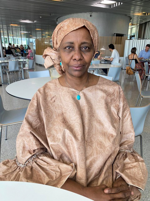 Rabab Baldo est une activiste pour les questions de genre et pour la paix. Elle a travaillé en tant que Senior Gender & Inclusivity Advisor et conseillère internationale, notamment pour le PNUD (Programme des Nations unies pour le développement) et Inclusive Peace. Elle a aussi servi de représentante spéciale pour le Soudan et le Sud-Soudan auprès d’ONU Femmes et du Bureau de l’Autorité intergouvernementale pour le développement IGAD.