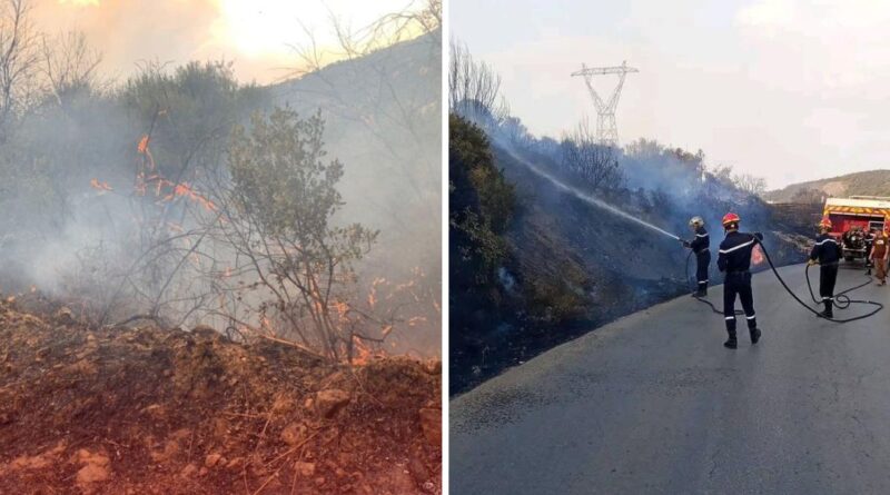 Incendies en Algérie : plusieurs feux déclarés à travers le pays