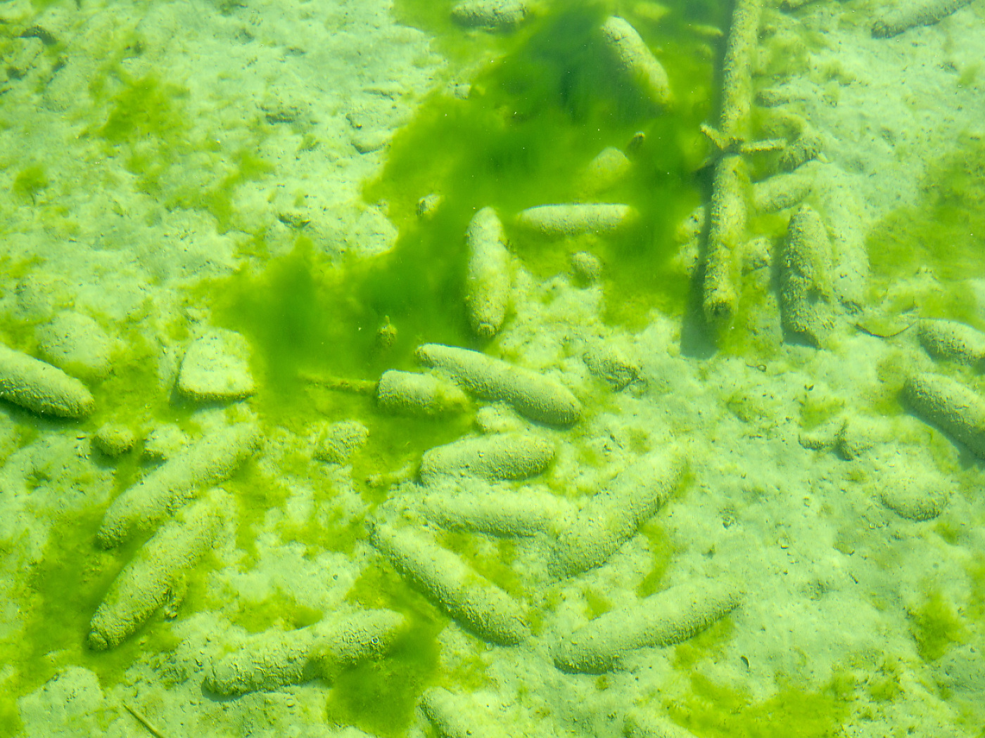 Des munitions sous l'eau