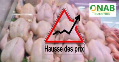 Le poulet à plus de 500 DA / kg : l'État mobilise la SARPA et l'ONAB pour stabiliser les prix