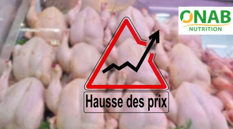 Le poulet à plus de 500 DA / kg : l'État mobilise la SARPA et l'ONAB pour stabiliser les prix