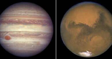 Mars et Jupiter se donnent rendez-vous dans le ciel : quand et comment les observer ?