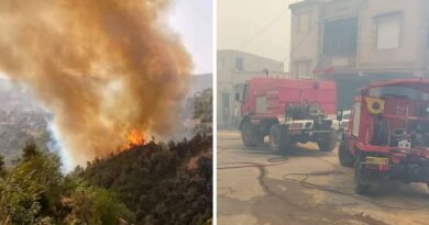 Tizi Ouzou en proie à d'immenses incendies : évacuation immédiate des maisons dans les villages