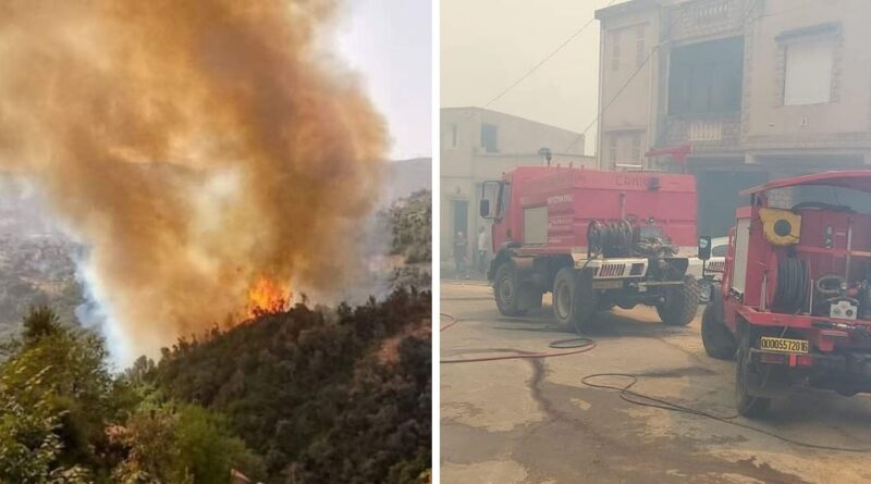 Tizi Ouzou en proie à d'immenses incendies : évacuation immédiate des maisons dans les villages