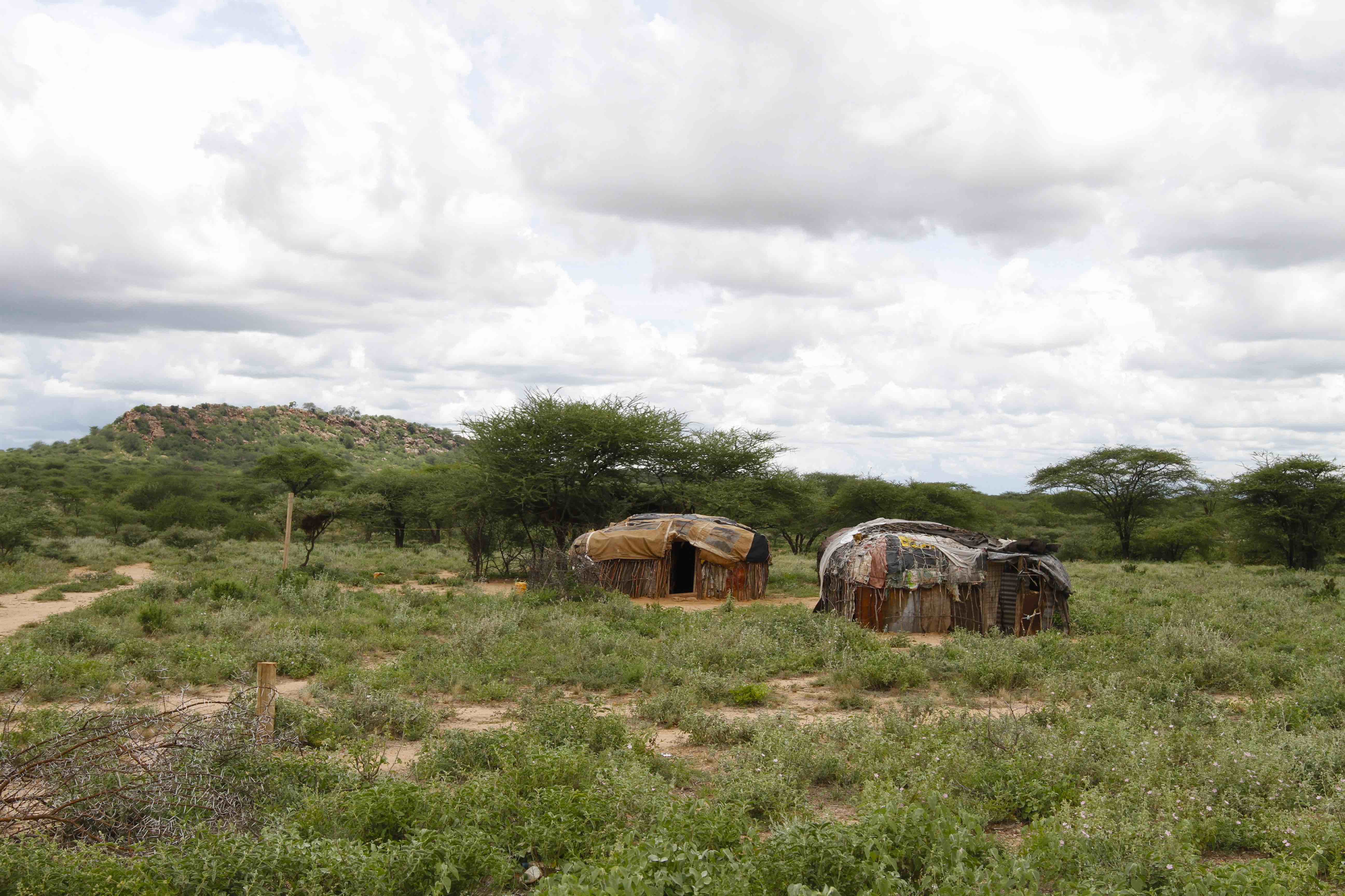 Huttes traditionnelles dans la savane.