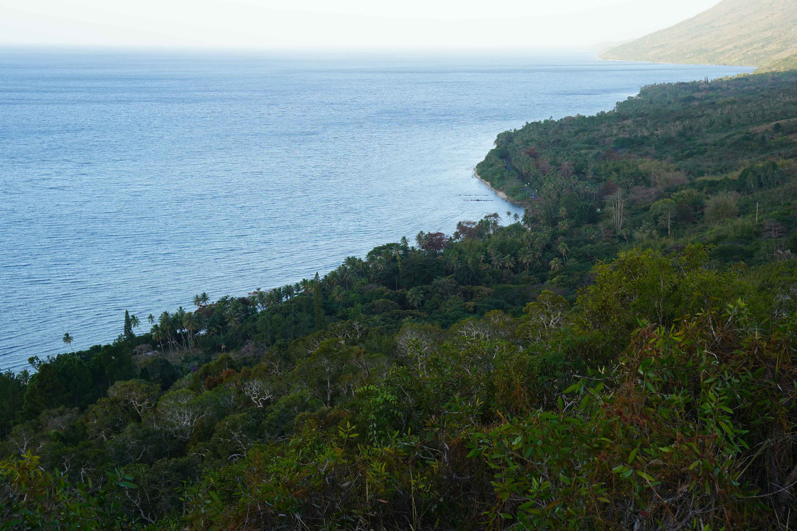 Nature de Nouvelle-Calédonie