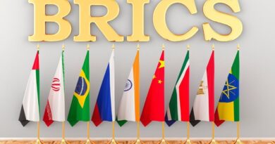 Adhésion aux BRICS : l'Algérie passe à autre chose, dossier clos