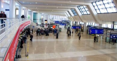 Aéroport d'Alger : Une femme appréhendée pour tentative de trafic