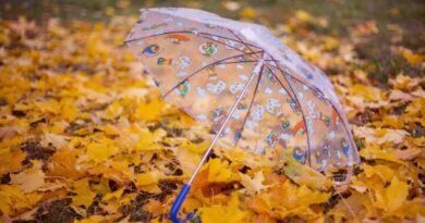 Alerte météo en Algérie : la pluie va-t-elle persister ce mercredi 4 septembre ?