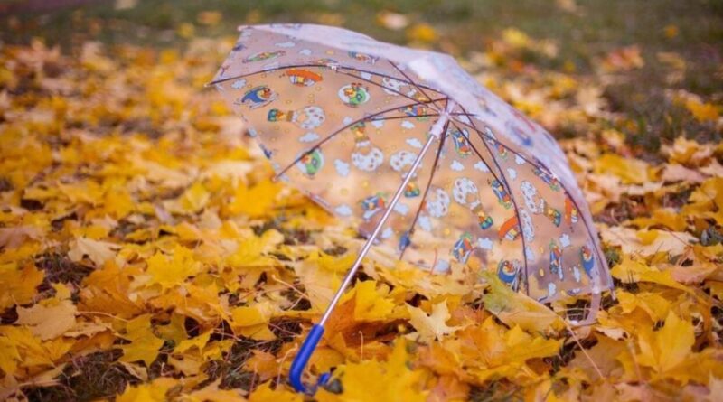 Alerte météo en Algérie : la pluie va-t-elle persister ce mercredi 4 septembre ?