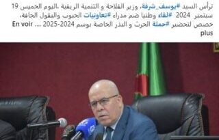 Autosuffisance en blé : l'Algérie s'engage dans un plan pharaonique