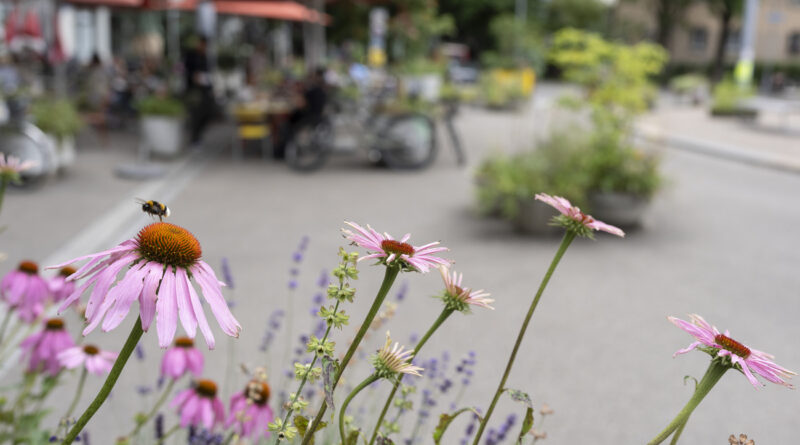 Ce que la Suisse entend faire pour mieux protéger sa biodiversité