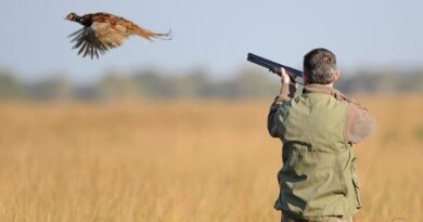 Chasse : L’ANEF déclare la guerre au braconnage