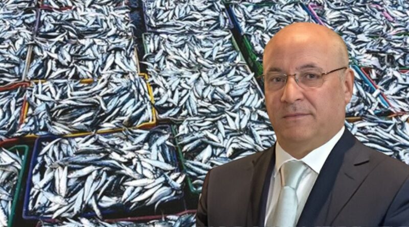 Chute spectaculaire du prix de la sardine (300 DA/kg) : Le coup de maître de Zitouni