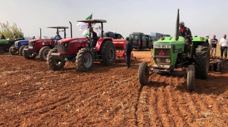 La campagne labours-semailles 2024/2025 : L'Algérie investit dans son agriculture