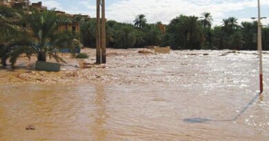 L’Algérie se prépare à l’adaptation climatique : un plan national en cours d’élaboration