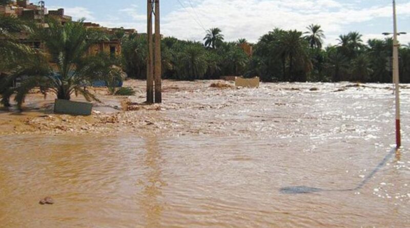 L’Algérie se prépare à l’adaptation climatique : un plan national en cours d’élaboration