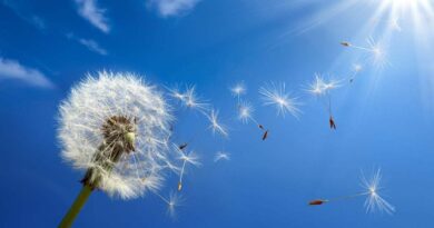 Le temps en Algérie ce 15 septembre : ciel ensoleillé ou voilé, quelle météo prévoir aujourd'hui ?