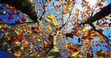 Météo Algérie : entre pluie et soleil, quelles sont les prévisions pour ce samedi 28 septembre ?