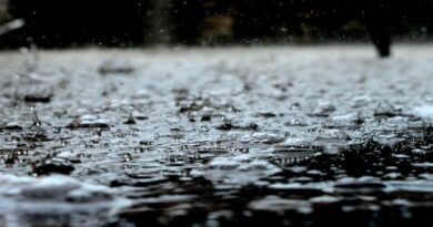 Pluies torrentielles en Algérie : quelles sont les prévisions météo pour ce lundi 9 septembre ?