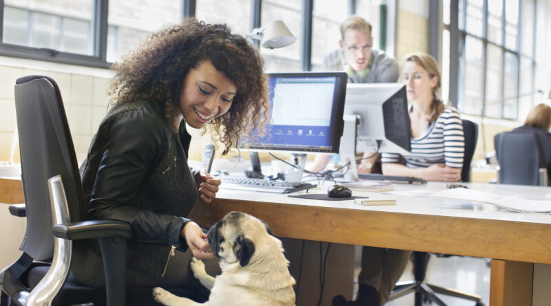 Quand «Médor», «Ulysse» et «Nala» deviennent vos collègues de travail