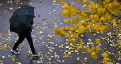 Rentrée scolaire en Algérie : l'automne débute, voici la météo pour ce dimanche 22 septembre !