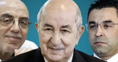 Tebboune, Aouchiche et Hassani fustigent et accusent l'ANIE