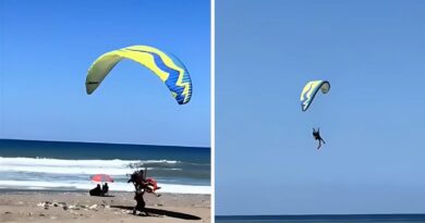 Un sauvetage spectaculaire digne d'Hollywood à Béjaïa : La vidéo fait sensation sur la Toile