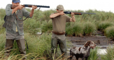 Agence nationale des eaux et forêts: Une série de mesures engagées à Fès-Meknès pour réussir la saison de chasse