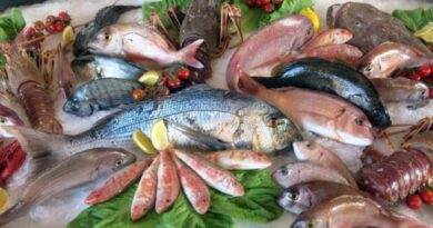 Flambée des prix du poisson en Algérie : les causes et le plan du gouvernement pour y remédier