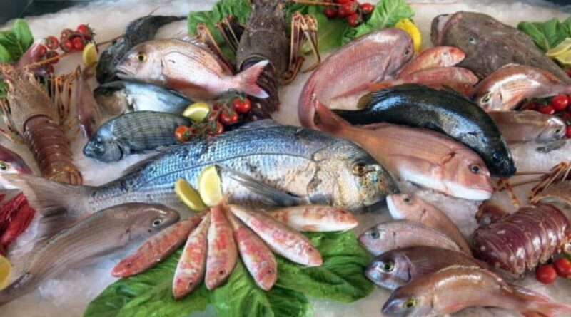 Flambée des prix du poisson en Algérie : les causes et le plan du gouvernement pour y remédier