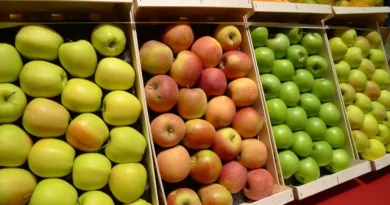 La pomme : De la fourchette des producteurs à celle des consommateurs