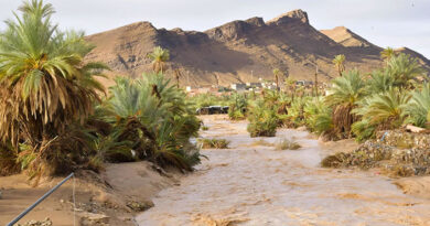 Latifa Yaakoubi en visite des oasis affectées par les inondations