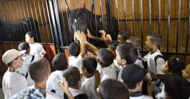 Les enfants à la découverte de l’univers du Cheval