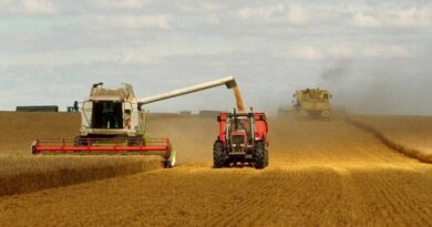 Partenariat italo-algérien : Voici la date du lancement du projet agricole à Timimoun