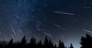 Pluie de météores : les Orionides illuminent le ciel algérien ce 21 octobre 2024